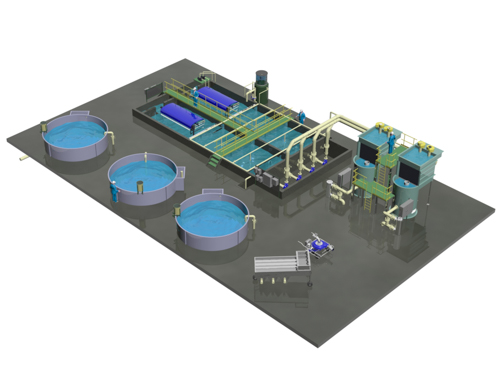 Recirculating Aquaculture System (RAS) Equipment | Innovasea