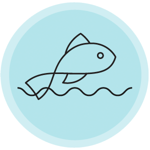 Aquatic Solutions for Aquaculture and Fish Tracking - Innovasea