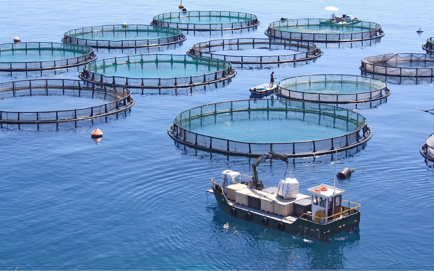 aquaculture-national-geographic